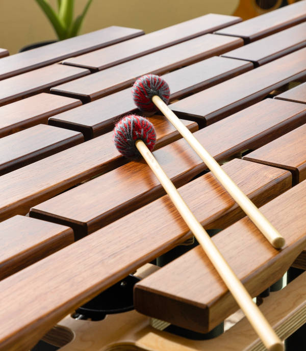 JewelMarimba_14.jpg