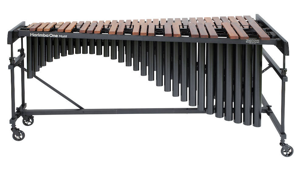 Izzy 2019 Front View.png