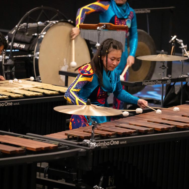 Rhythmic Force Instrument Sale