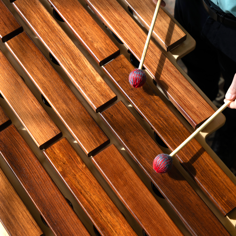 Marimba One Jewel Marimba